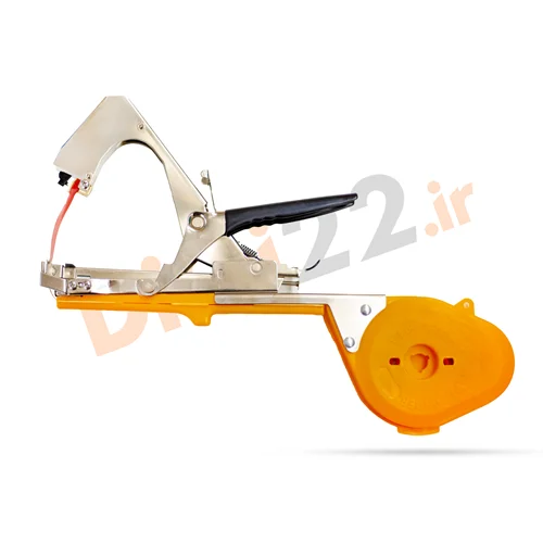 بست زن بوته گلخانه و انگور ایستاده