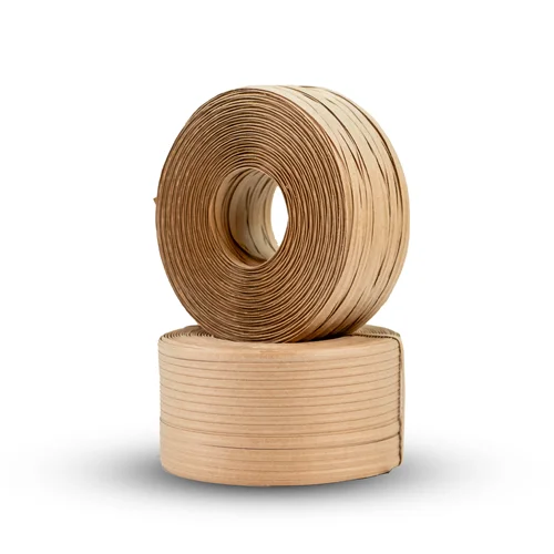 مفتول روکش دار مخصوص دستگاه قیم بند شارژی تمام اتومات